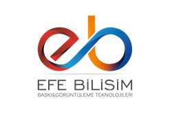 EFE 09 BİLİŞİM TEKNOLOJİK ÇÖZÜMLER SANAYİ TİCARET LTD. ŞTİ.